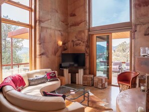 Smart TV, fireplace, books