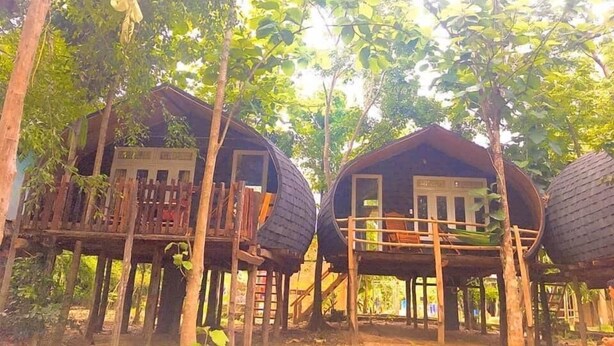 Dos cabañas de estilo casa árbol con barandillas de madera y techo de paja, rodeadas de follaje denso.