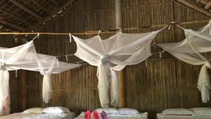 Una habitación con tres camas, cada una con ropa blanca y almohadas. Hay mosquiteros blancos colgados sobre las camas.