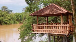 Una estructura de madera con techo de tejas, elevada sobre pilotes, rodeada de abundante vegetación y un río.