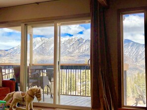 Interior - Durango Mountain Dream Views!!! Gorgeous Interior! Ski-in Ski-Out (Durango)