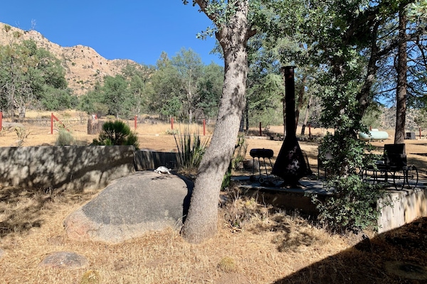 Àrea exterior de l'allotjament