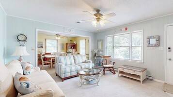 TV, DVD player, books, video library