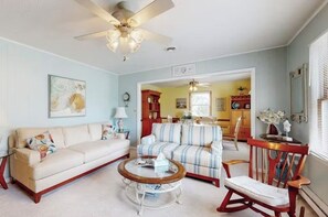 TV, DVD player, books, video library