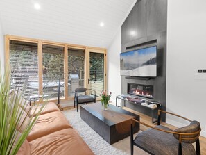 Smart TV, fireplace, DVD player, books