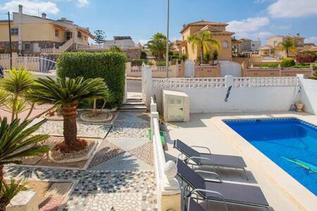A rooftop pool area with a clear view of the surrounding buildings, a palm tree, and a tiled patio.