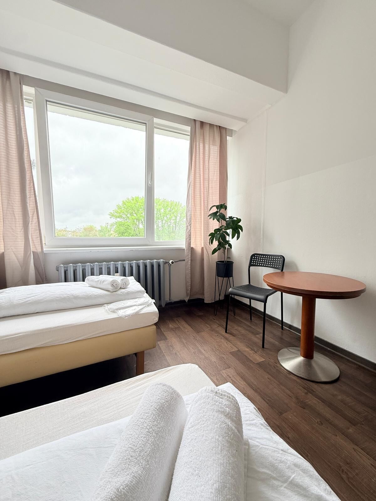 Une chambre d’hôtel avec un lit, une petite table, une chaise, une plante en pot et une fenêtre avec des rideaux.