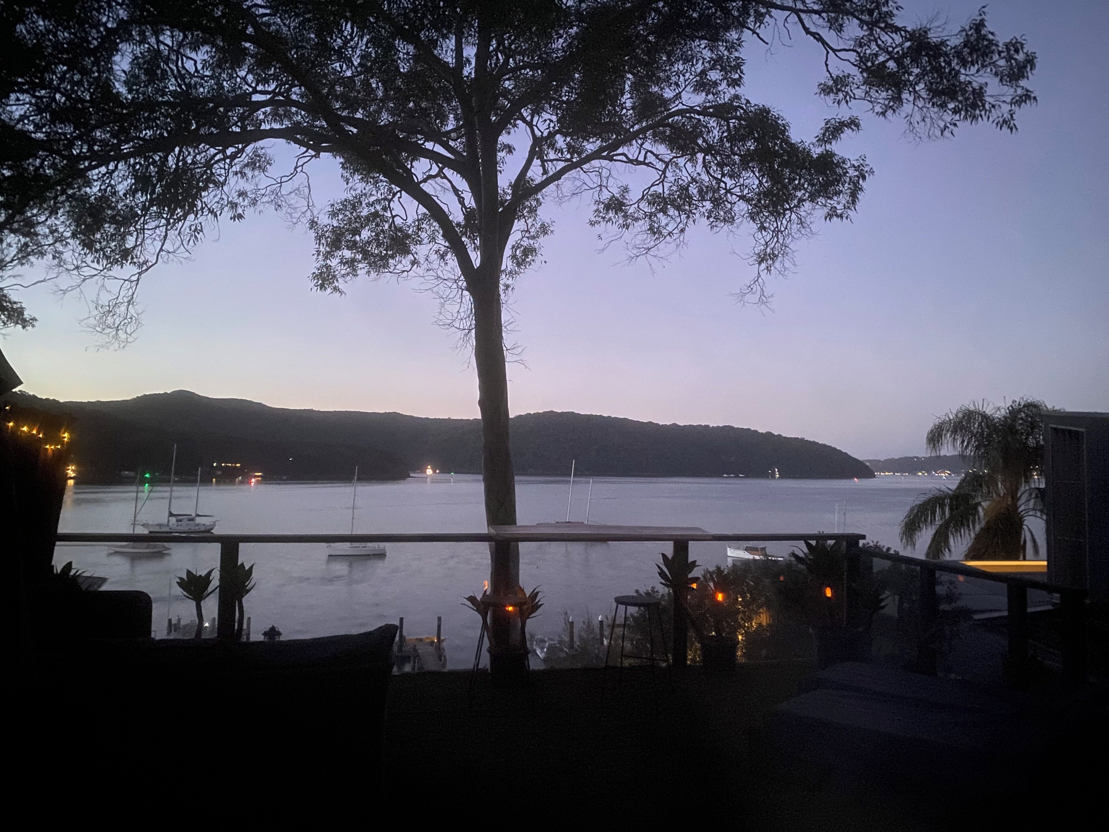 Vista de un lago con barcos, un árbol y colinas al fondo.