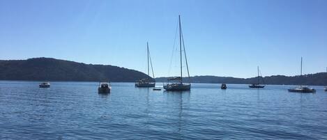 A calm body of water with several boats and a distant shoreline.