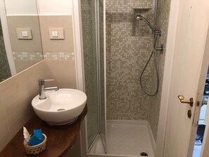 Regadera, secadora de cabello, bidet, toallas 