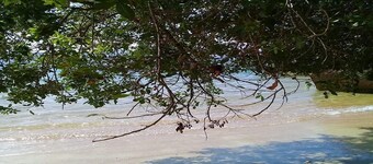 FLAMBOYANT CABANA - Un lugar para empacar tus sueños con la música del mar