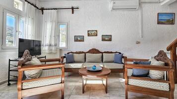 Smart TV, fireplace, books, stereo