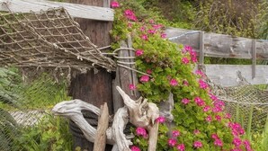 Una estructura de madera rústica con un comedero para pájaros en la parte superior, rodeada de follaje y flores rosadas.