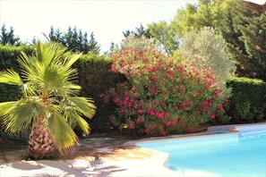 Outdoor pool, pool loungers