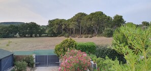 المنطقة المحيطة بالمن شأة