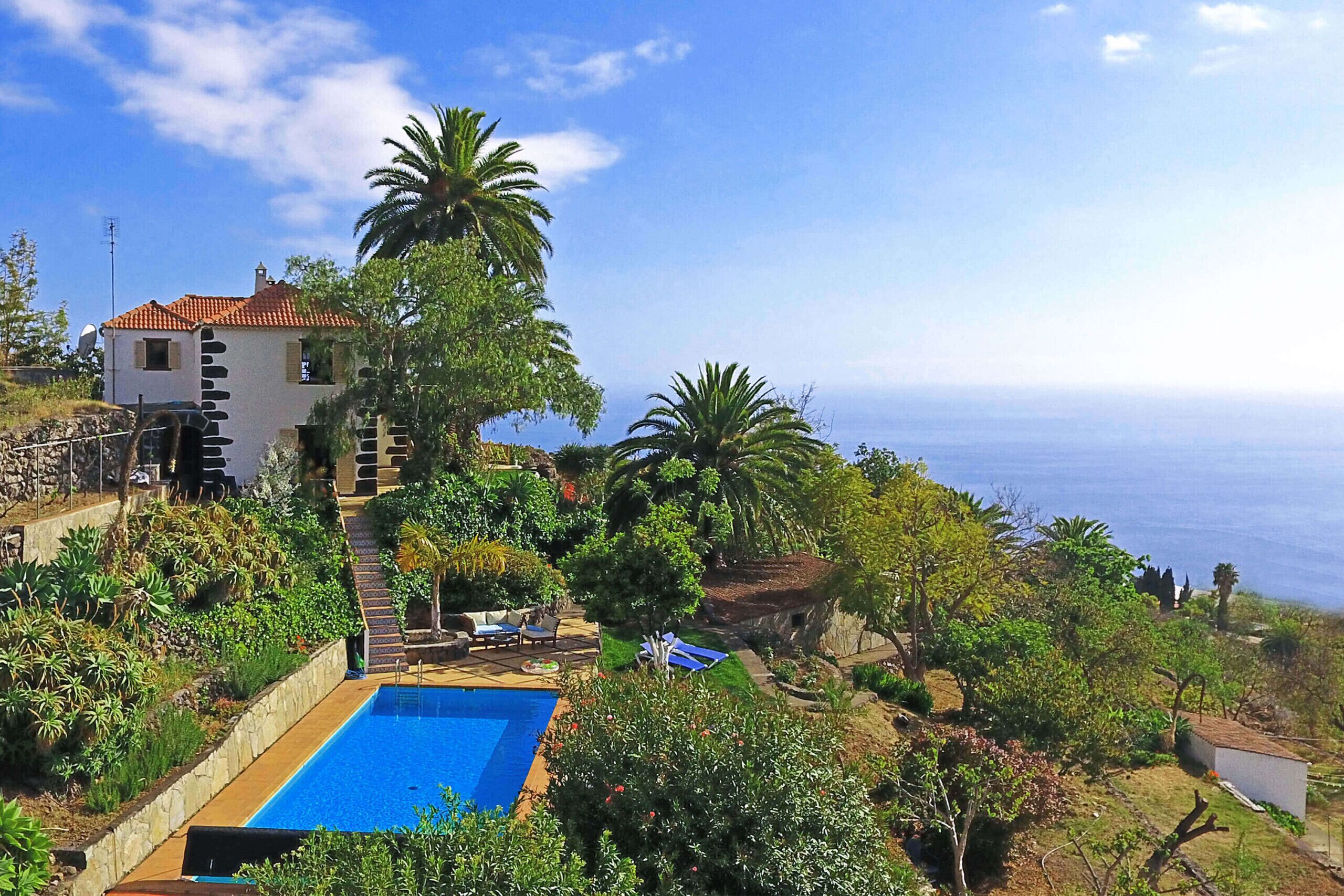 Una casa con piscina rodeada de exuberante vegetación y vistas al mar.