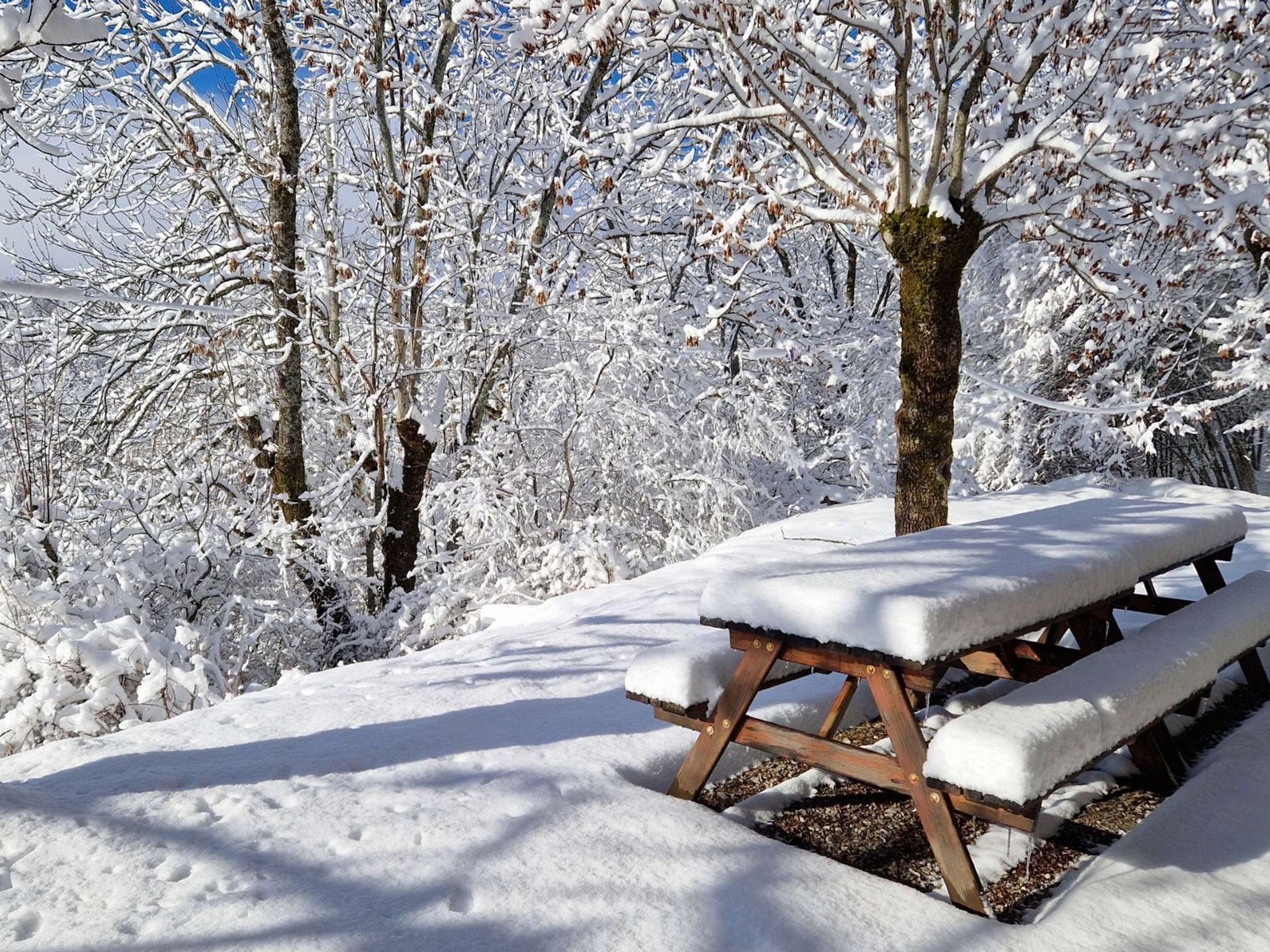 A snow-covered picnic table in a forested area.