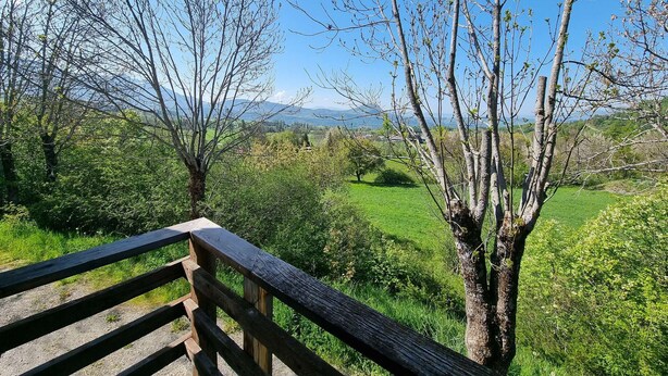 A wooden bench overlooking a lush green landscape with trees and a distant mountain range.