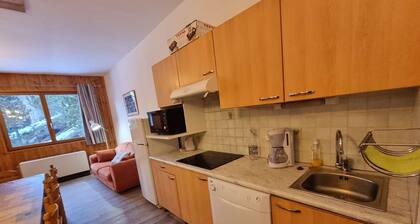 Appartement familial 10 pers, 100m², proche des pistes à Saint-Michel-de-Chaillol
