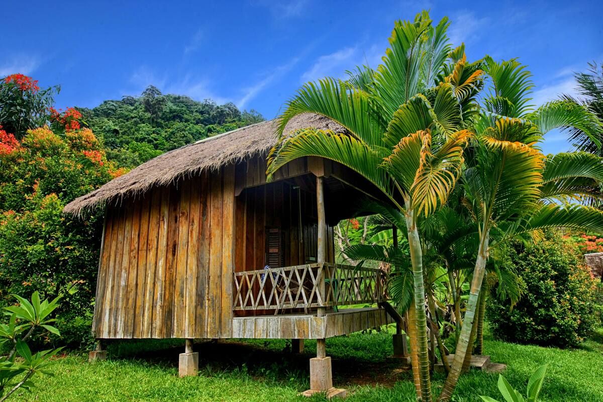 A wooden hut with a thatched roof, a wooden porch, and a lush green garden with palm trees.