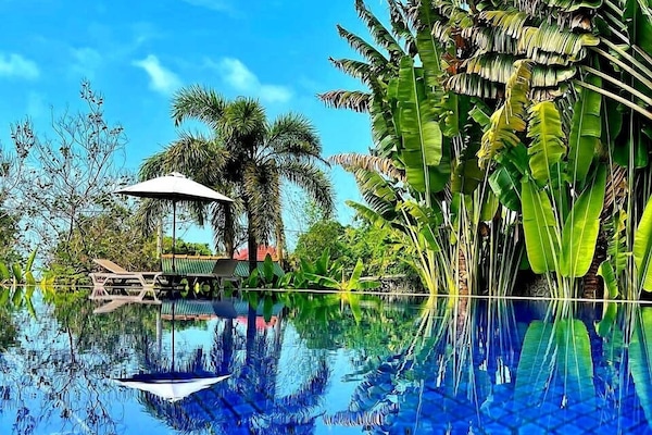 Outdoor pool, pool umbrellas, sun loungers