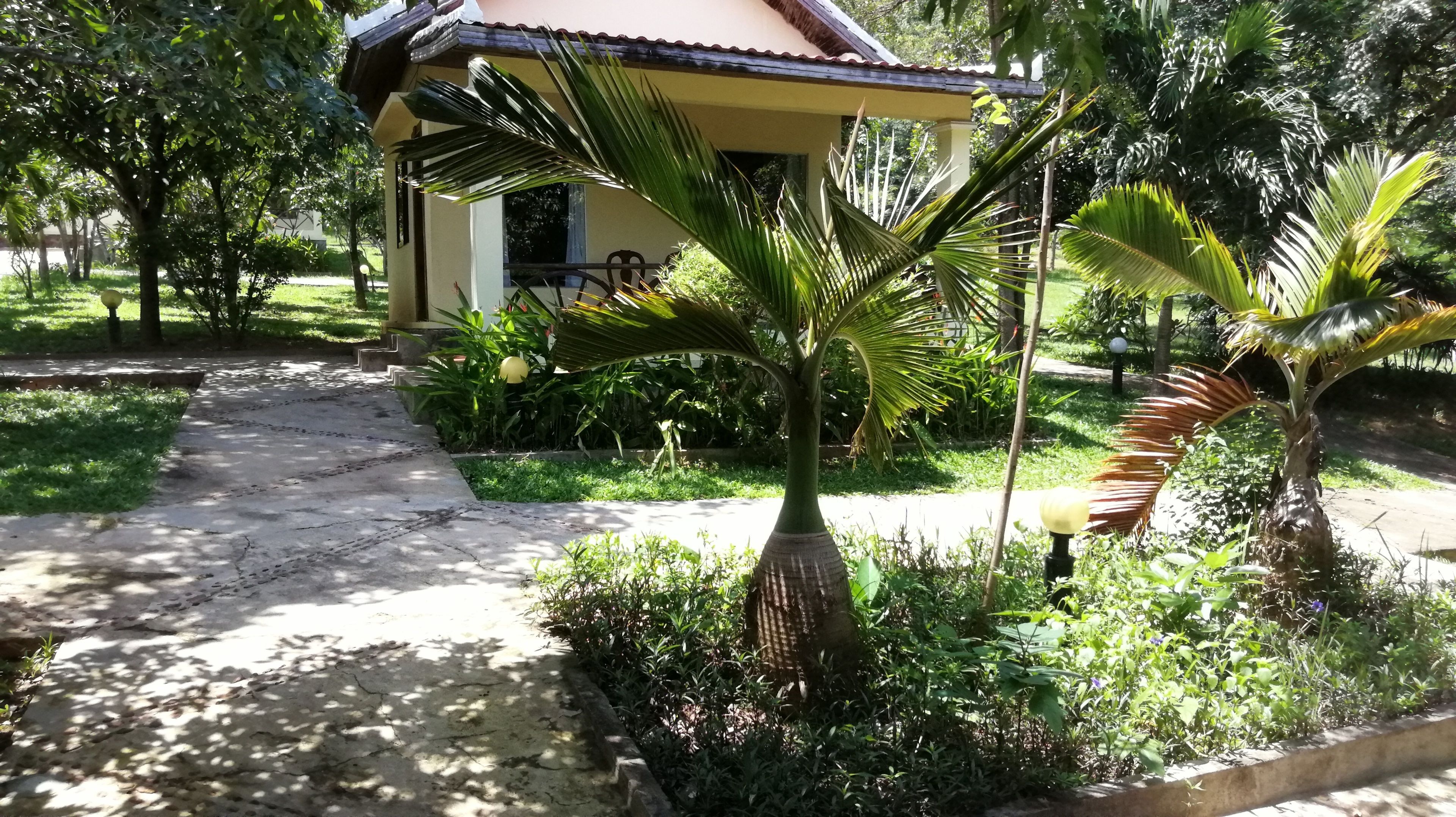 Uma casa com telhado cerâmico, rodeada por vegetação exuberante e um caminho de concreto.