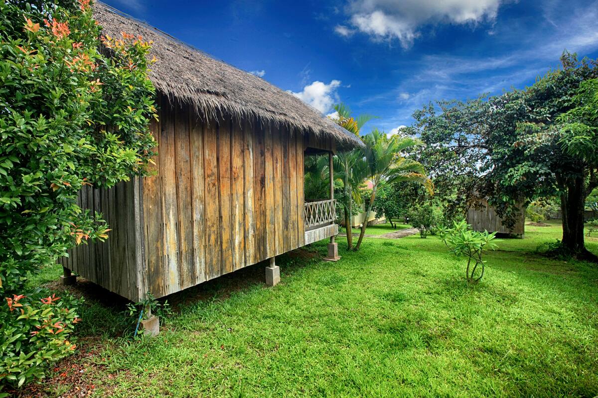 A rustic wooden building with a thatched roof, surrounded by lush greenery and a clear blue sky.