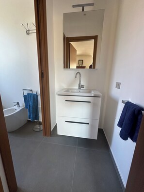 Shower, hair dryer, bidet, towels