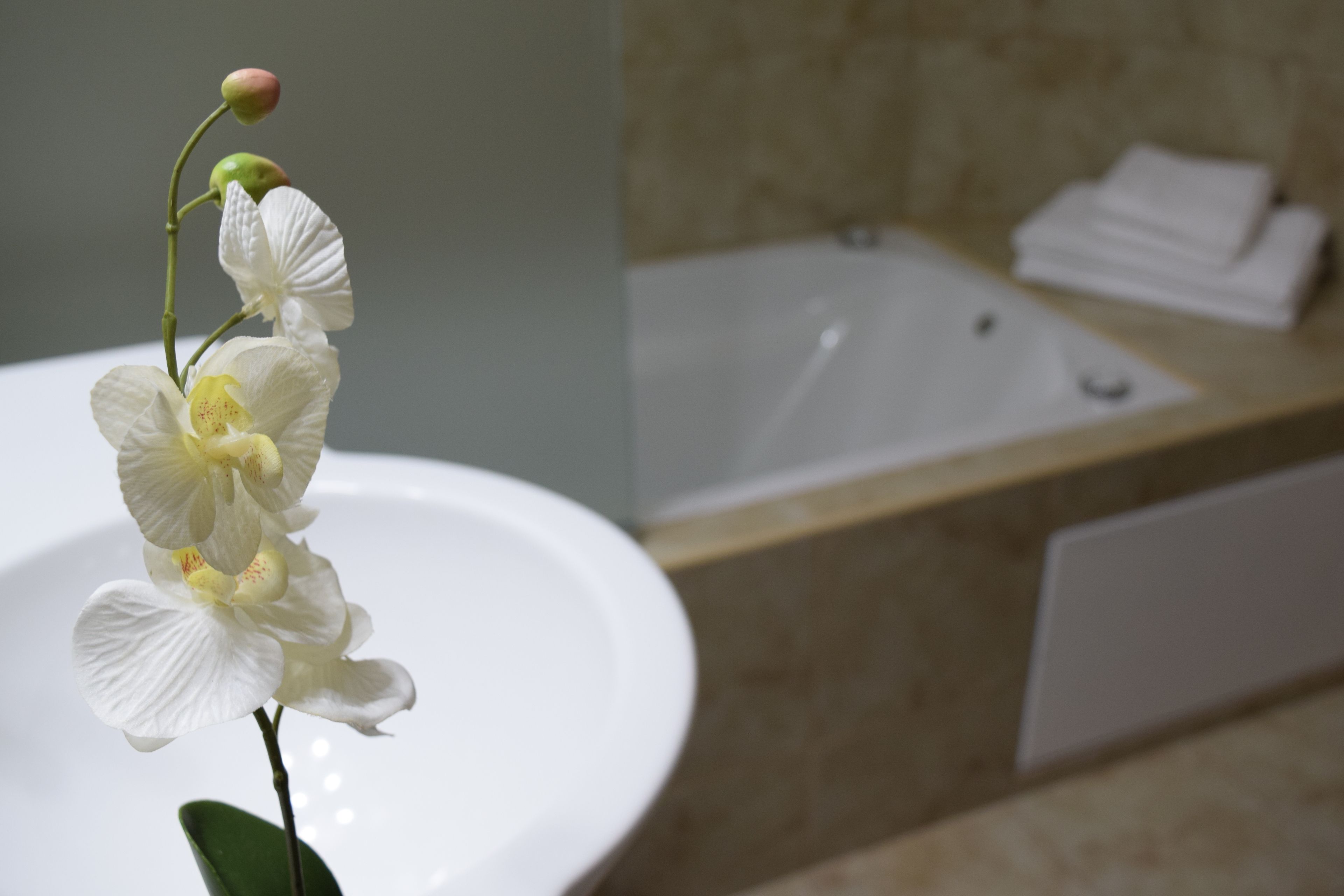 shower, free toiletries, hair dryer, bidet