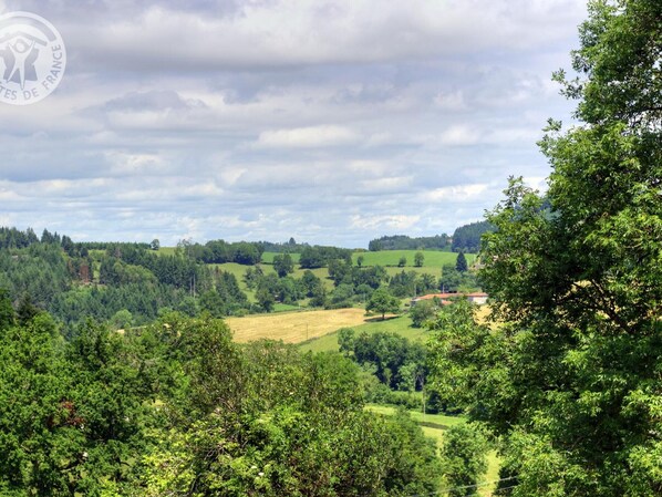 Un paisaje rural con colinas ondulantes, bosques densos y edificios dispersos.