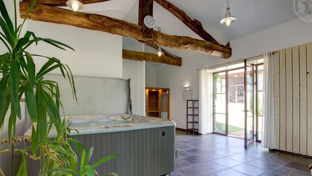 Een ruime kamer met een jacuzzi, houten balken en een grote kamerplant.
