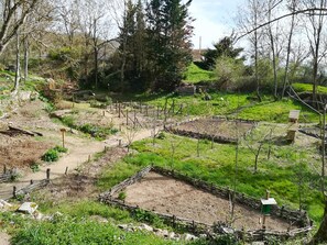 Property grounds - Detached cottage for 8, fireplace, pets allowed, tranquil nature (Salt-en-Donzy)