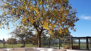 A hot tub area with a tree in the background. - Large house with heated private pool and pets allowed (Vivans)
