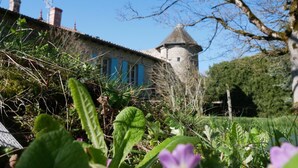A stone building with a tower, surrounded by greenery and a clear sky.