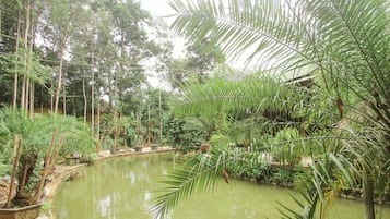 Kawasan hartanah