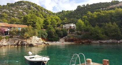 Der Robinson des Weißen Hauses