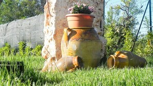 Un jardín con un grueso tronco de árbol, una planta en maceta y dos macetas rotas sobre el césped.