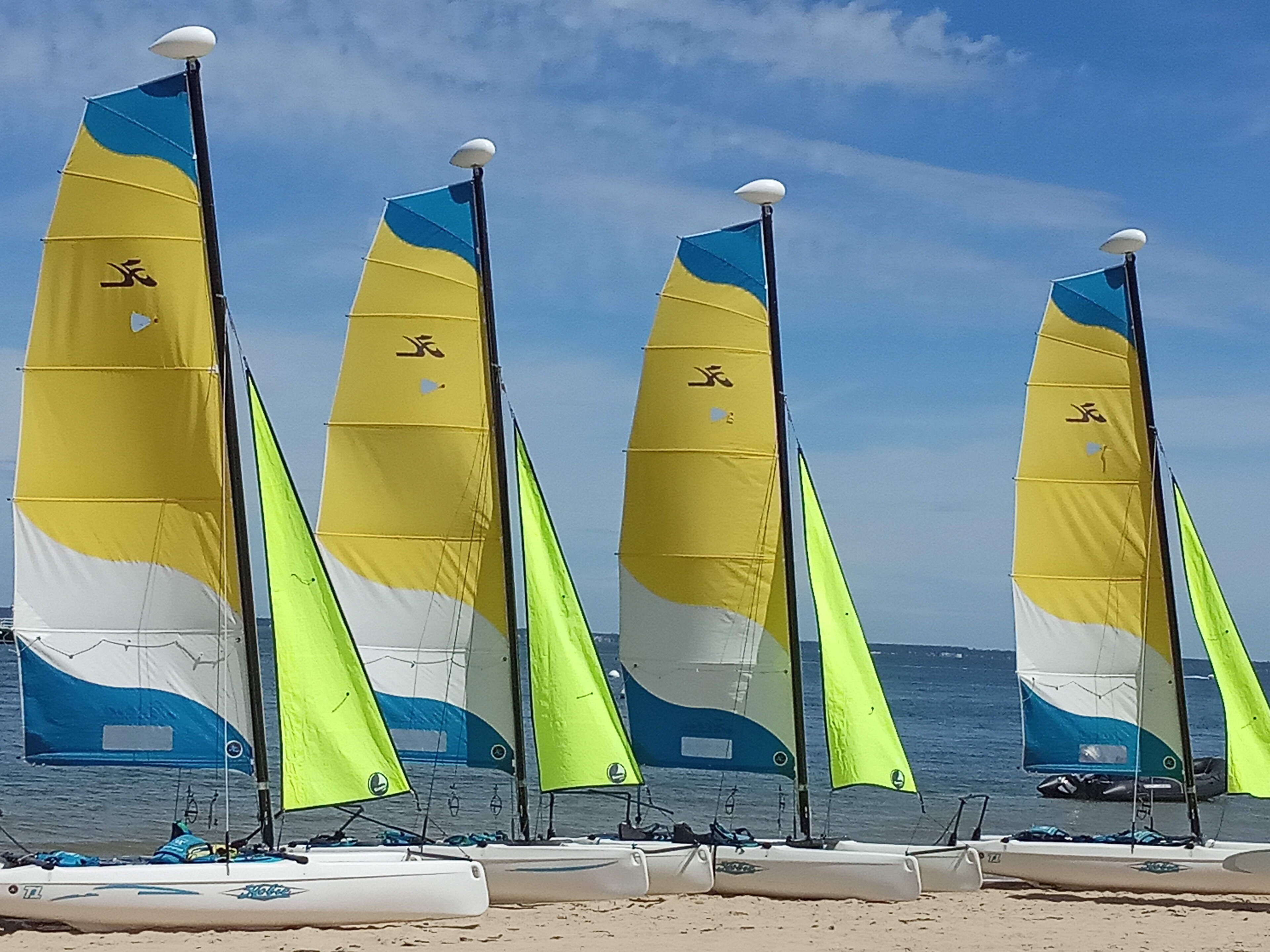 A row of sailboats with yellow and blue sails docked on a sandy beach.