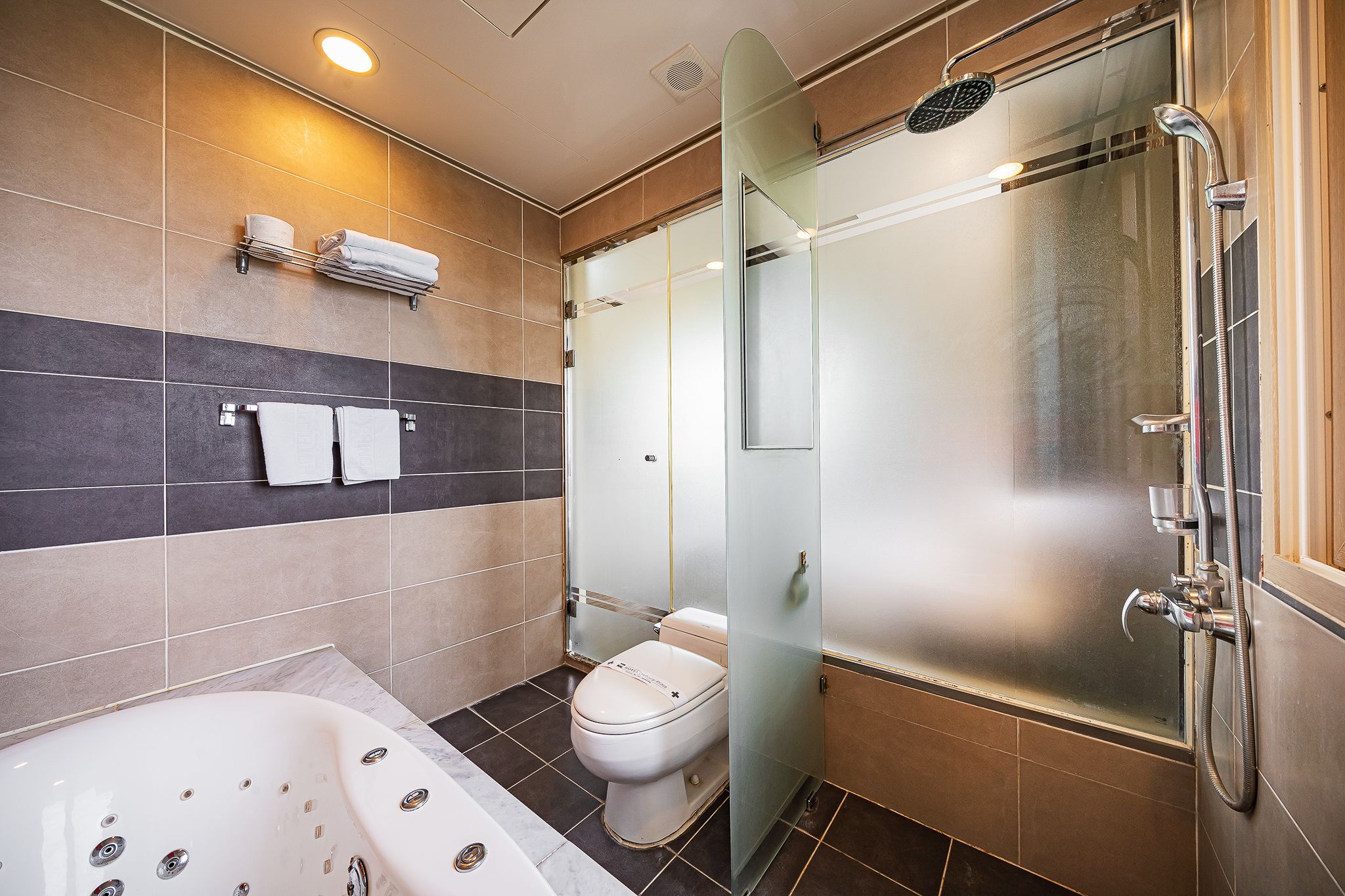 A modern bathroom with a glass-enclosed shower, a bathtub, and a toilet.