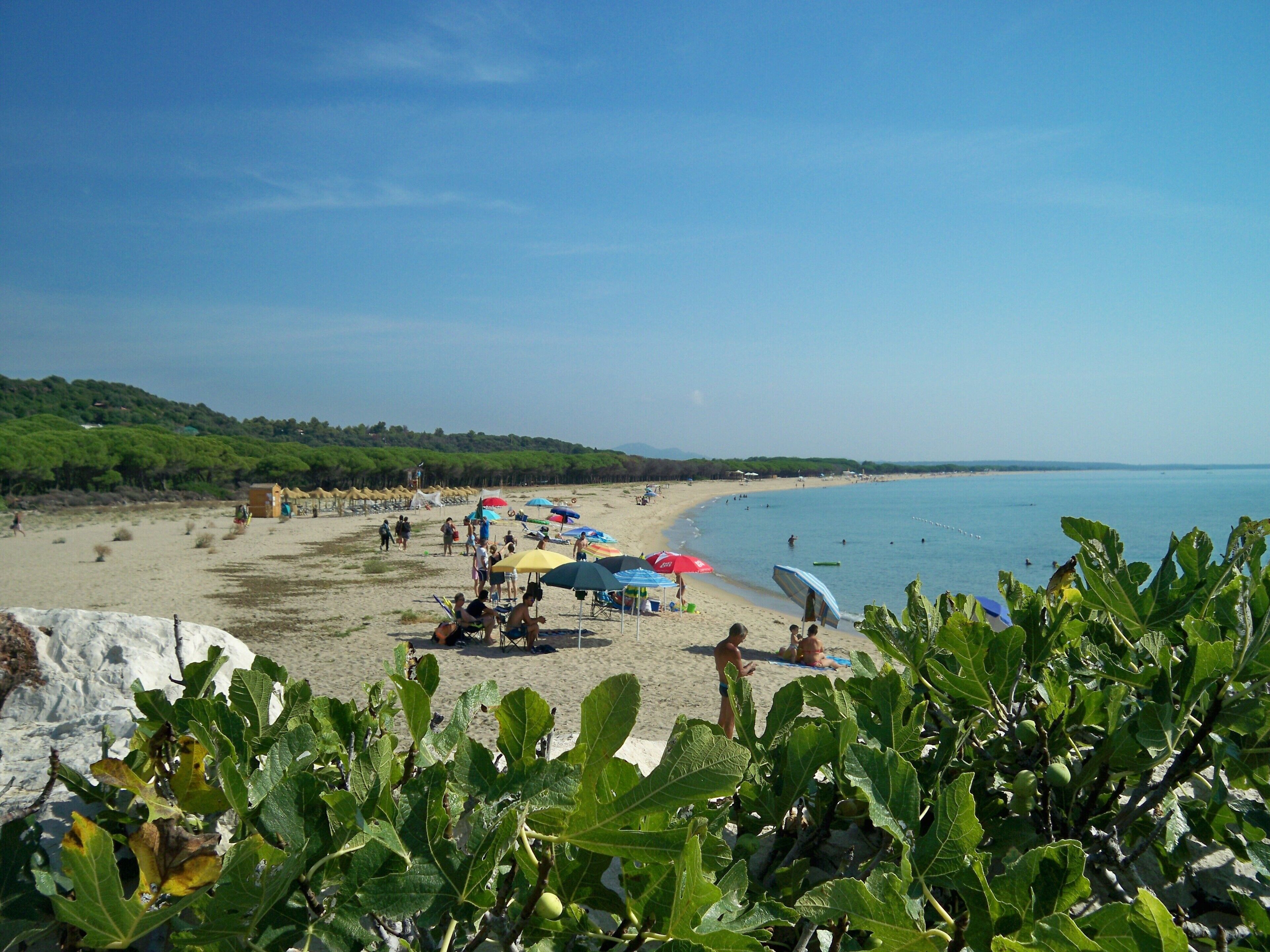 A beach with umbrellas and people.
