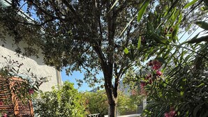 Ein Garten mit einer Couch, Stühlen, einem Tisch und einem Baum.