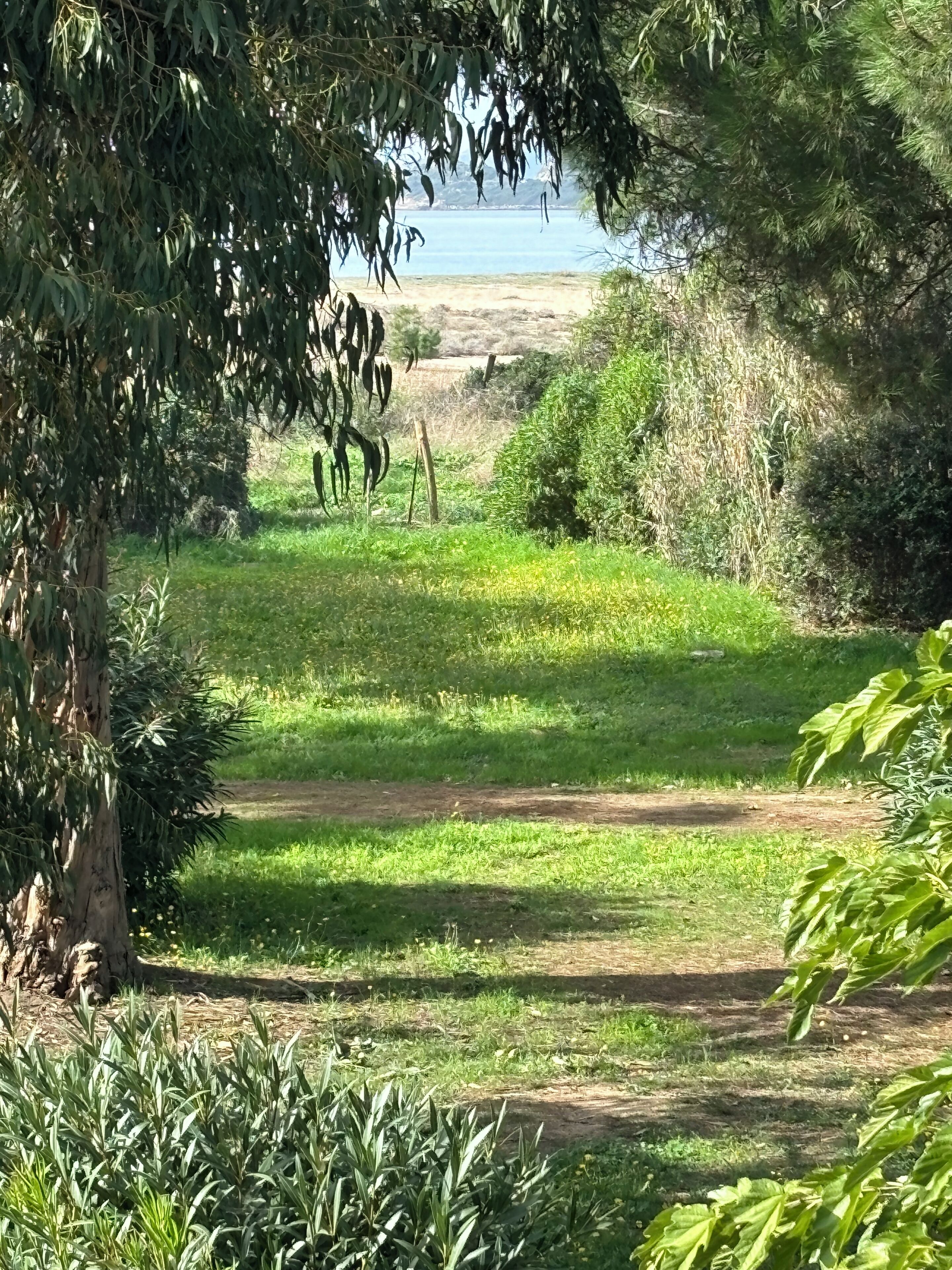 A natural landscape with a dirt path, green grass, and trees.