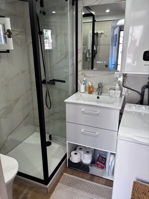 A modern bathroom with a glass shower enclosure, a white sink with a mirror, and a built-in washing machine.