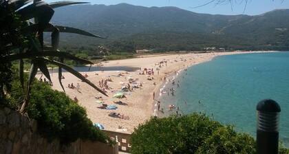 Beautiful beachfront apartment in Liscia