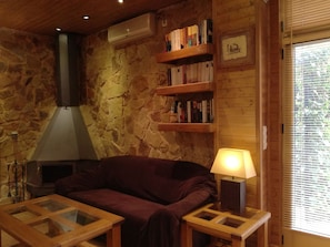 TV, fireplace, books