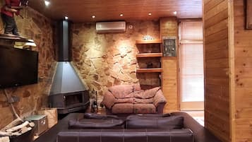 Televisión, chimenea y libros