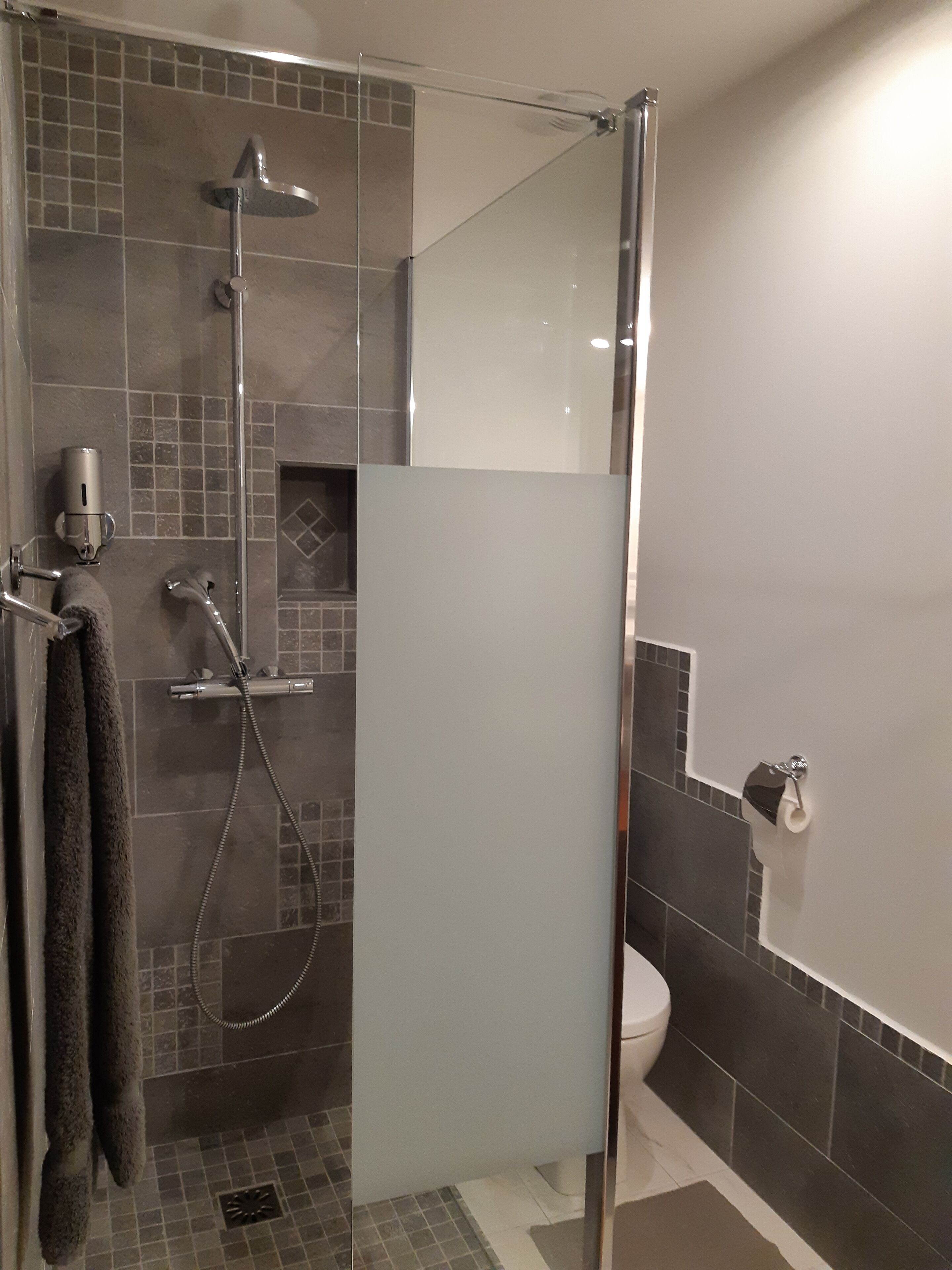 A modern bathroom with a glass shower enclosure, a toilet, and a towel rack.