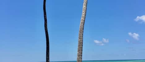 Una playa cerca