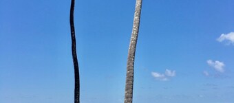 THE BEACH VILLA - Four Bedroom Villa, Sleeps 8