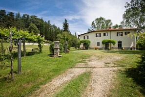 Esterni